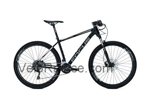 Focus Black Forest scheda tecnica e recensioni